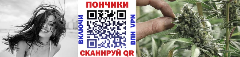 Где купить наркотики Вуктыл A PVP МЕФ Гашиш