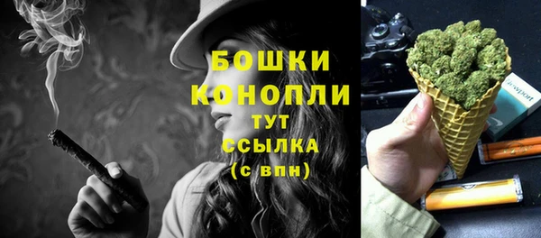 бутират Белокуриха