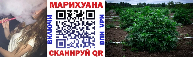 хочу наркоту  Вуктыл  Марихуана планчик 